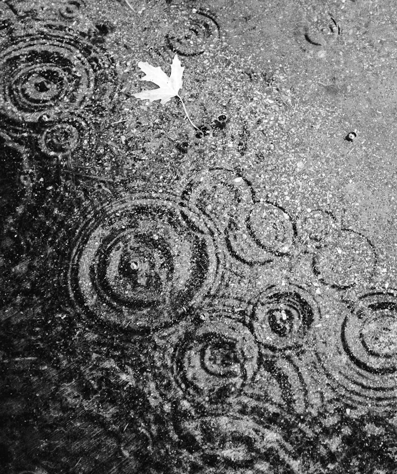 Moisture on a surface during structural drying
