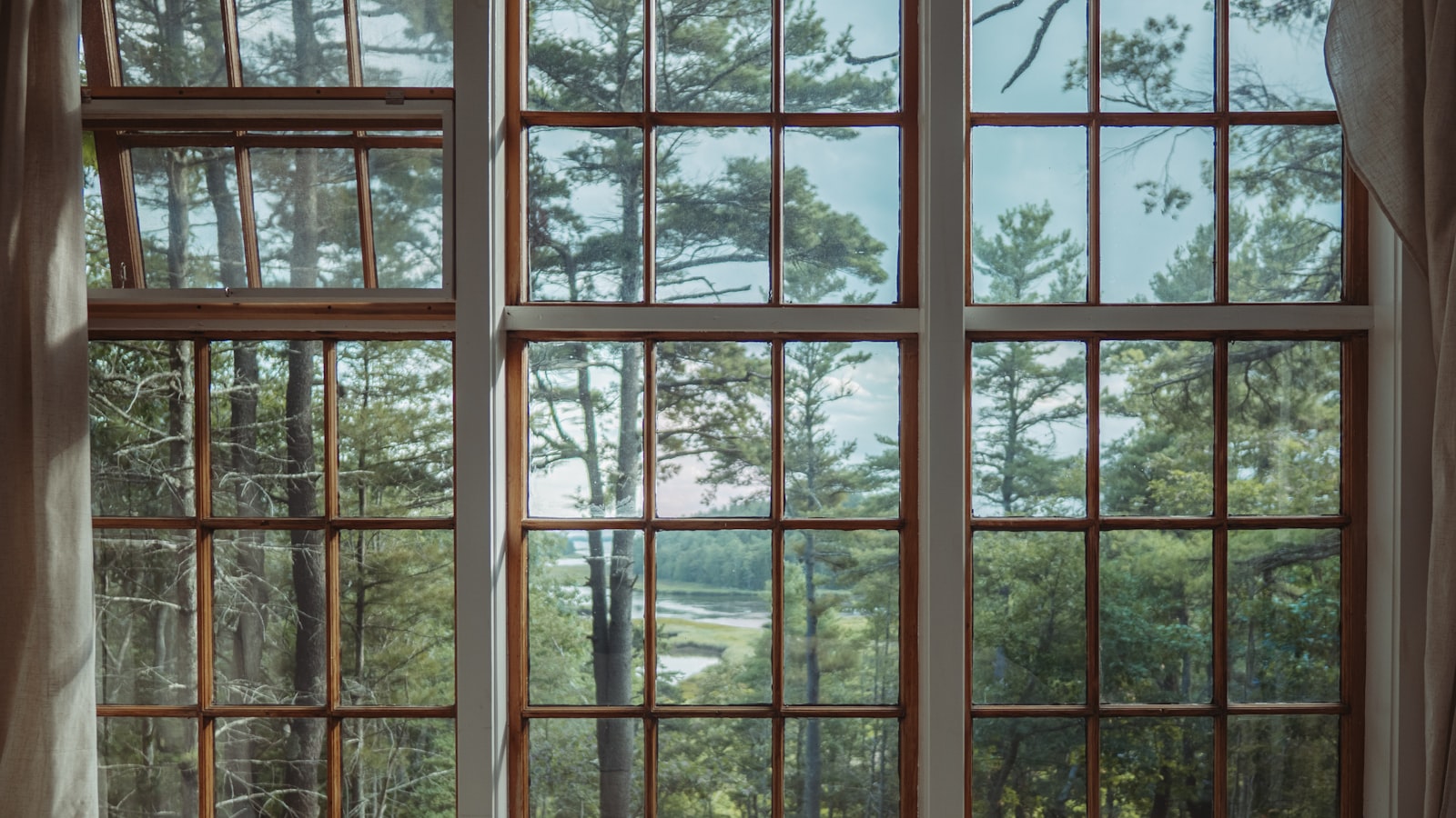 Modern home exterior with new windows